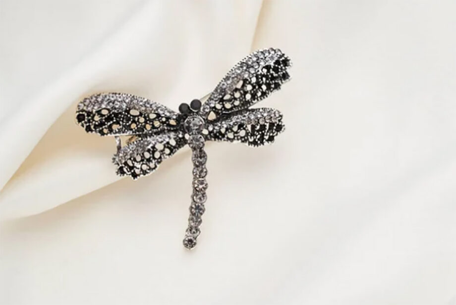 Libellenschmuck