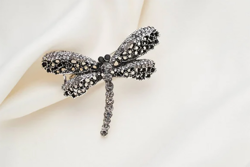 Schmucktrend 2026: Libellenschmuck erobert die Herzen der jungen Generation